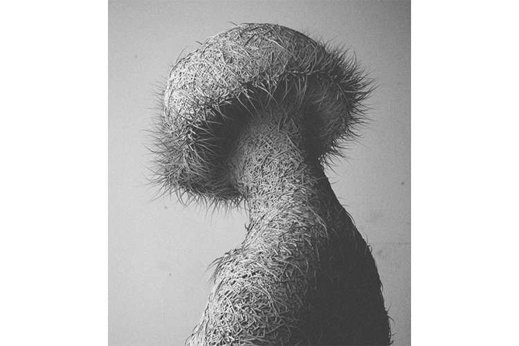 CAN PEKDEMIR, Fur III: Variations II, 2014