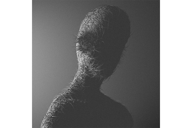 CAN PEKDEMIR, Fur III: Variations III, 2014