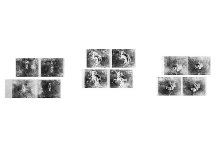 CEMIL BATUR GOKCEER, Untitled, 2014