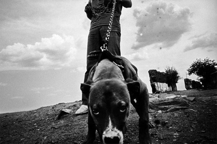 HALIL, Untitled III